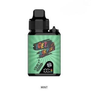 Mint IGET Bar Plus 6000 Puffs